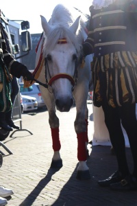 20221112-Intocht-104